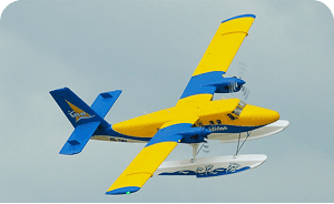 Falcon X1 Trainer